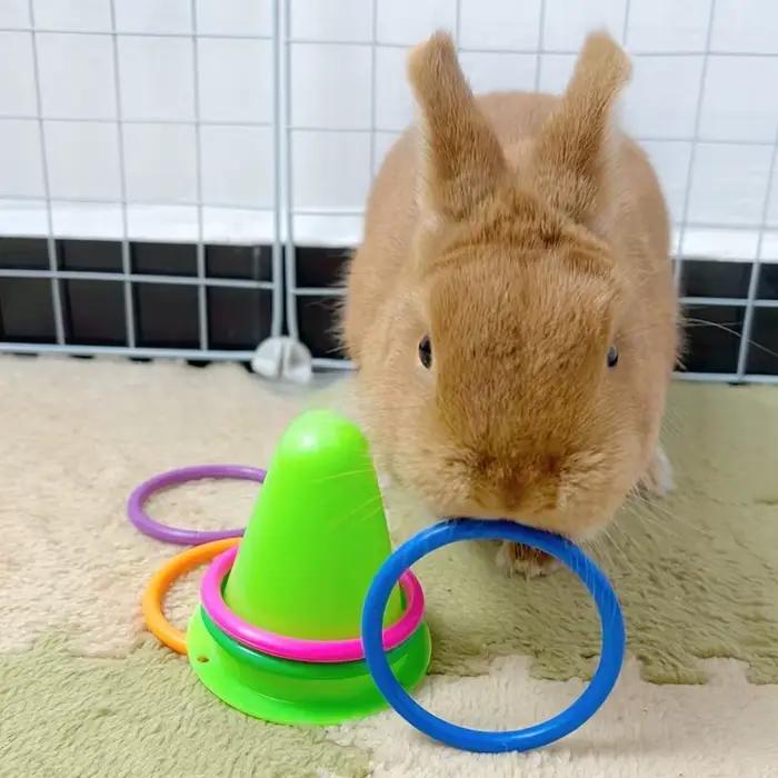 Jouet interactif pour lapin de 7 cm