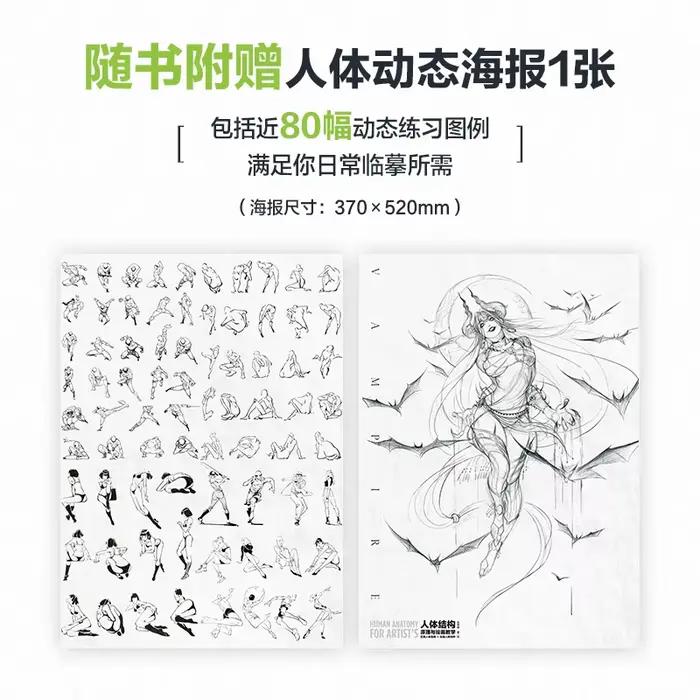 Livre d'enseignement d'anatomie humaine pour artistes, livre d'enseignement de la Structure du corps humain et de la peinture