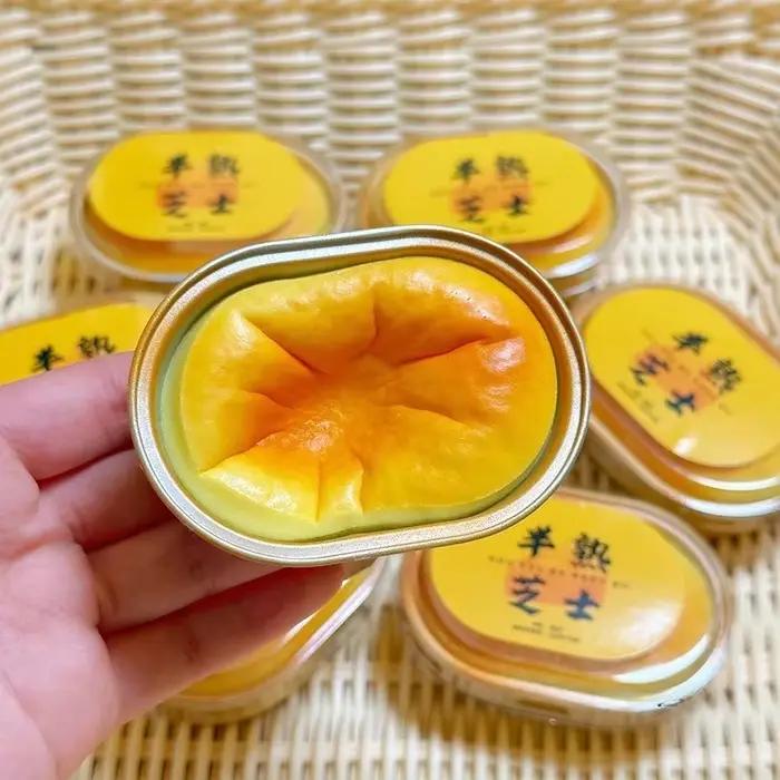 Squishy simulé fromage pain presser jouet soulagement du stress lente augmentation sensorielle Fidget jouets pour l'anxiété tdah autisme pour enfants adultes