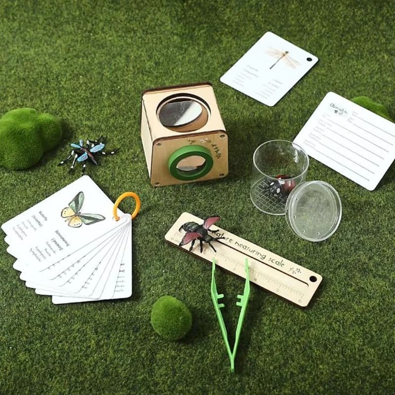 Attrape-insectes en bois, jouet éducatif scientifique d'observation avec loupes pour enfants, explor