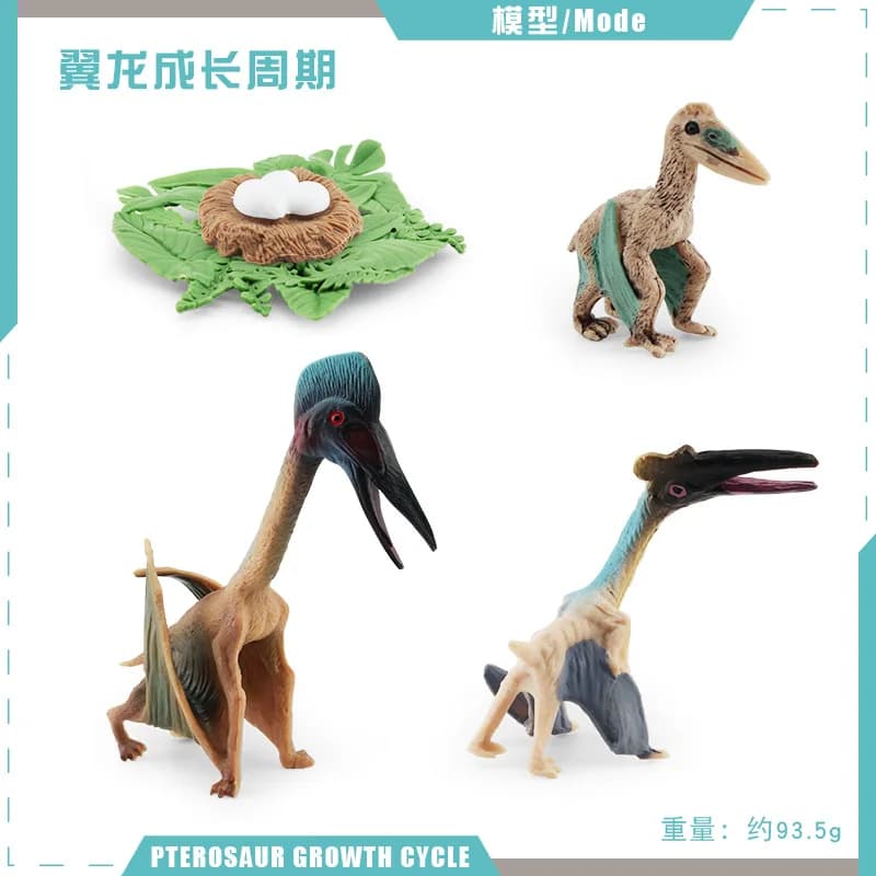 Modèle de dinosaure du cycle de vie, jouet éducatif pour enfants, cycle de vie des animaux, jouets M
