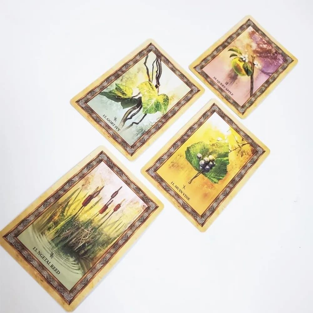 Jeu de Cartes Oracle Arbre Celtique