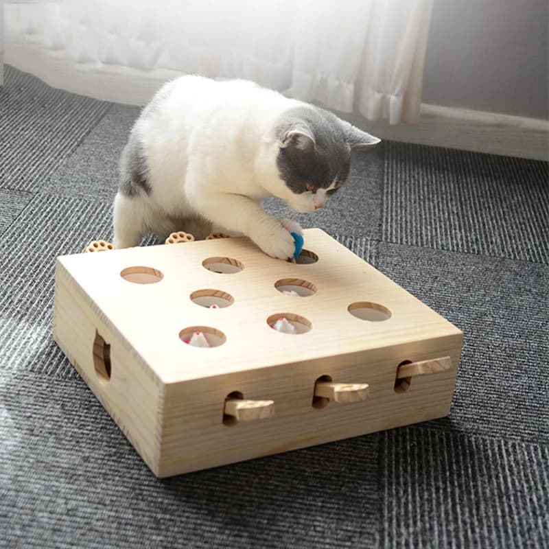 Nouveau jouet interactif de haute qualité pour chat, jouet intelligent en bois mobile populaire, con