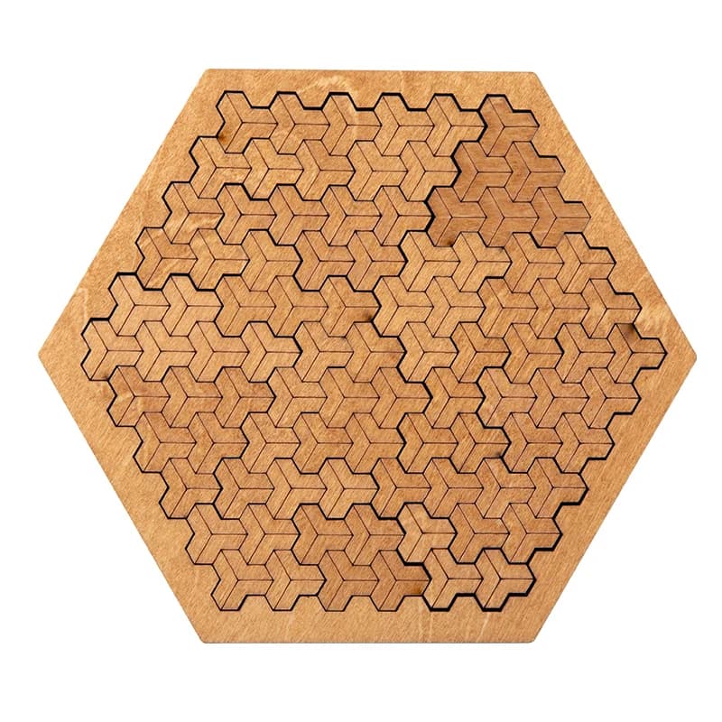 Puzzle Impossible en bois IQ pour adultes, casse-tête Impossible, casse-tête, dix niveaux de difficu