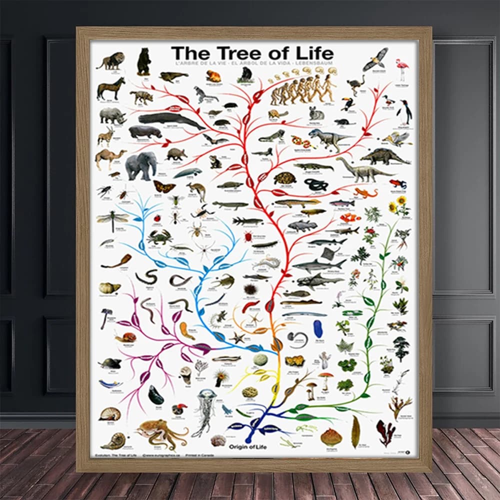 Affiche d'arbre de vie évolution, tableau éducatif de biologie et de sciences pour décoration murale